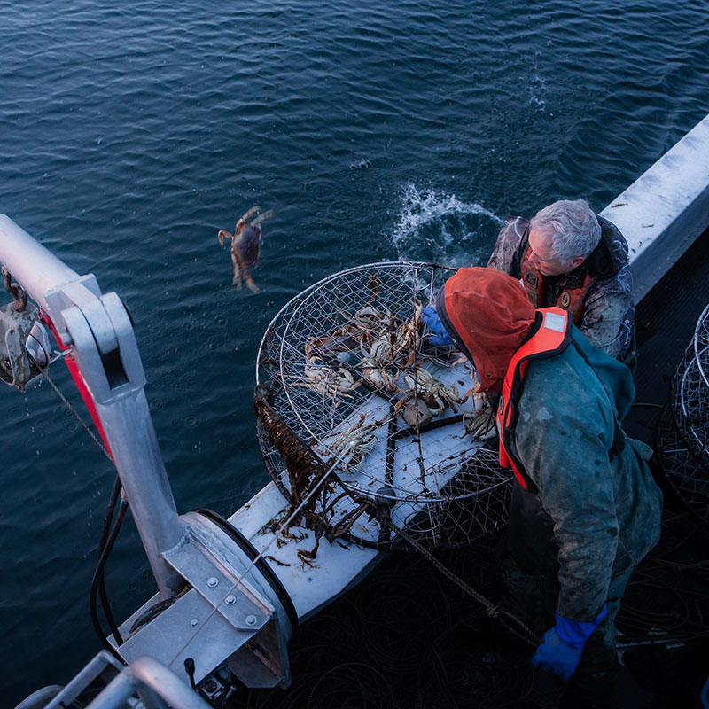 BC Crab Co fishing boat on the water supporting sustainable BC Dungeness crab harvesting